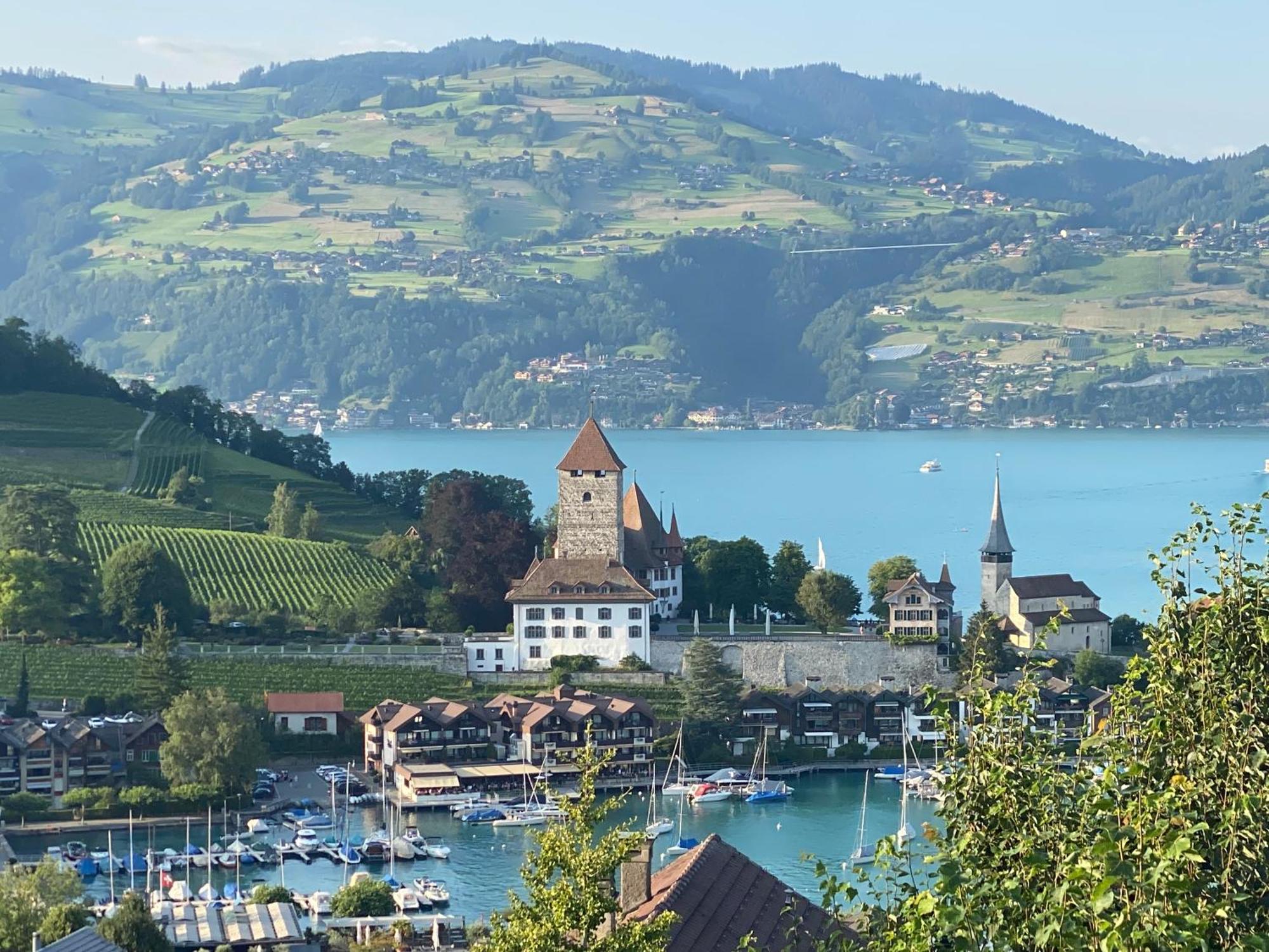 Herrlicher Blick Auf Berge Und See Faulensee Екстериор снимка