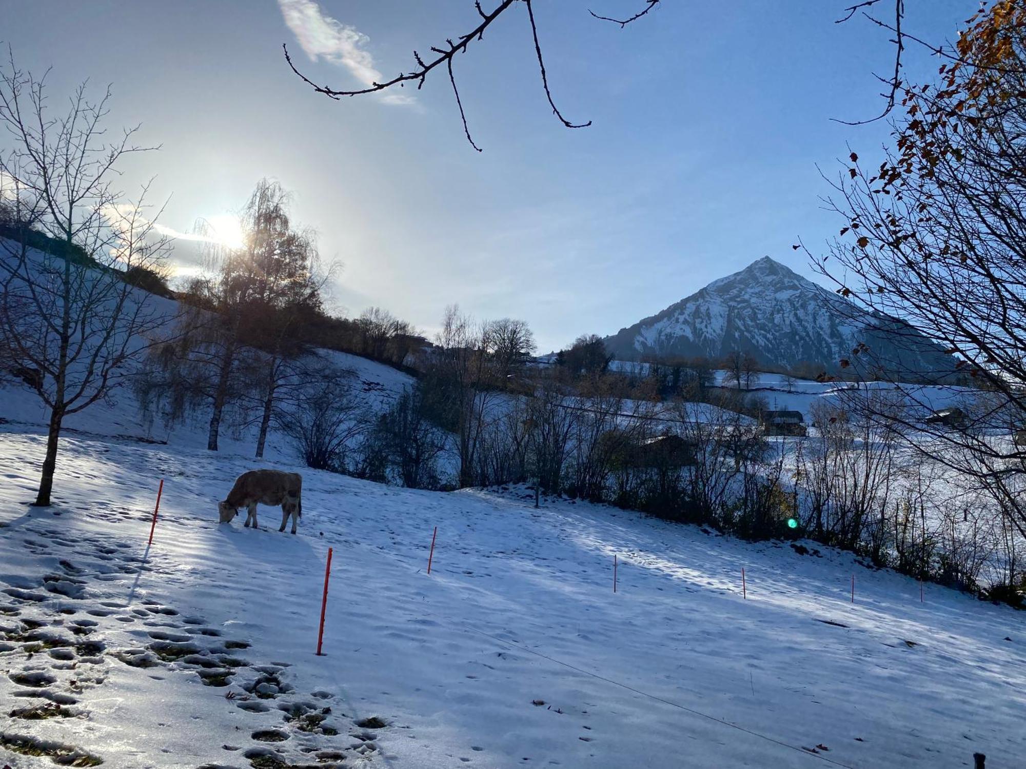 Herrlicher Blick Auf Berge Und See Faulensee Екстериор снимка